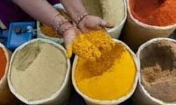 व्यापारी करते थे मिलावट- लगा लाखों का जुर्माना