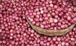 प्याज के निर्यात को सीमित अनुमति