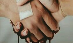 अफीम खेती गड़बड़ी पर NCB की भूमिका