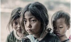 जीवन शैली बढ़ाती है अवसाद