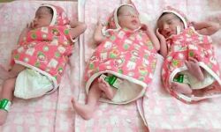 भारत कुमार के यहां बालिका दिवस पर 3 बेटियों का उपहार भारत कुमार के यहां बालिका दिवस पर 3 बेटियों का उपहार