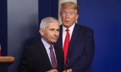 डोनाल्ड ट्रम्प से किसी दूसरे को खतरा नहीं : एंथनी फौसी डोनाल्ड ट्रम्प से किसी दूसरे को खतरा नहीं : एंथनी फौसी