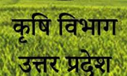 मुजफ्फरनगर में जलाई पराली तो होगी सख्त कार्रवाई मुजफ्फरनगर में जलाई पराली तो होगी सख्त कार्रवाई