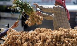 किसान सस्ते में उपज बेचने को है मजबूर