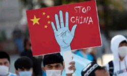 महिलाओं के बाल कटवाकर बेच रहा ये देश महिलाओं के बाल कटवाकर बेच रहा ये देश