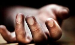 पालतू कुत्ते को घुमाना- बालक को ले गया मौत के करीब पालतू कुत्ते को घुमाना- बालक को ले गया मौत के करीब