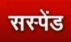 डिप्टी कलेक्टर ने लिखा पत्र- ड्यूटी न करने वाले 12 BLO की हो सेवा समाप्त डिप्टी कलेक्टर ने लिखा पत्र- ड्यूटी न करने वाले 12 BLO की हो सेवा समाप्त