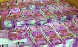 STF ने पकड़े अस्लाह तस्कर-करोड़ो की नकदी जब्त- बंदूकें बरामद