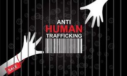 UP के इन 40 जिलों में बनेंगे मानव तस्करी विरोधी पुलिस थाने UP के इन 40 जिलों में बनेंगे मानव तस्करी विरोधी पुलिस थाने