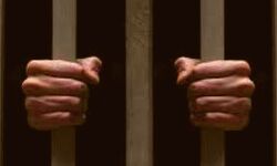 मुख्यमंत्री को काले झंडे दिखाने पर पांच को जेल भेजा