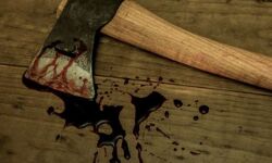 मां ने बेटे की कुल्हाड़ी मारकर की हत्या मां ने बेटे की कुल्हाड़ी मारकर की हत्या