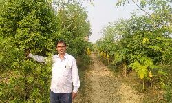 कुछ अलग करने के जुनून ने प्रोफेसर को बना दिया चंदन के बाग का मालिक