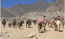 ड्रोन नहीं खच्चरों के सहारे हैं चीन की सेना
