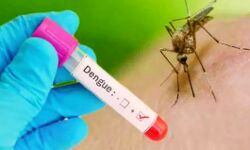 डेंगू ने मचाया मौत का तांडव, गांव से हुआ लोगों का पलायन डेंगू ने मचाया मौत का तांडव, गांव से हुआ लोगों का पलायन