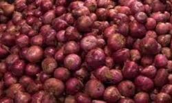 प्याज की जमाखोरी रोकने को भंडारण सीमा निर्धारित