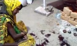 महिला ने जीभ काट कर चढ़ा दी माता को महिला ने जीभ काट कर चढ़ा दी माता को