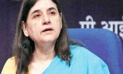 ट्रकों में भूसे की तरह भरे बेजुबानों को मेनका ने कराया मुक्त