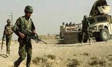 सेना के ऑपरेशन में 28 तालिबानी ढ़ेर सेना के ऑपरेशन में 28 तालिबानी ढ़ेर