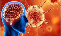 दिमाग को 10 साल बूढ़ा बना देता कोरोना वायरस दिमाग को 10 साल बूढ़ा बना देता कोरोना वायरस