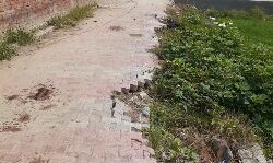 सभासदों ने चेयरमैन के विरूद्ध भेजा सीएम को लैटर सभासदों ने चेयरमैन के विरूद्ध भेजा सीएम को लैटर