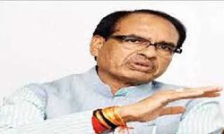 शांति भंग करने वालों से सख्ती से निपटेंगे- CM शांति भंग करने वालों से सख्ती से निपटेंगे- CM