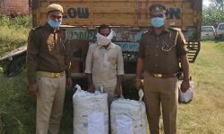 पुलिस ने अपराधी को दबोचा- कैंटर समेत अवैध डोडा पोस्त बरामद