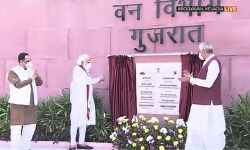 Watch Video~पीएम ने गुजरात में आरोग्य वन का किया उद्घाटन Watch Video~पीएम ने गुजरात में आरोग्य वन का किया उद्घाटन