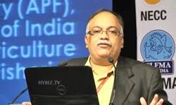 बलरामपुर के 80 गांवो के किसानों को सरकार ने दिया यह अधिकार बलरामपुर के 80 गांवो के किसानों को सरकार ने दिया यह अधिकार