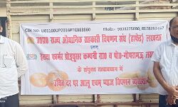 मोबाइल वैन घर पहुंचायेगी सस्ते दामों में आलू और प्याज मोबाइल वैन घर पहुंचायेगी सस्ते दामों में आलू और प्याज