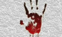 मां, बाप और भाई का कत्ल करने वाले जघन्य अपराधी को नहीं मिलेगी बेल