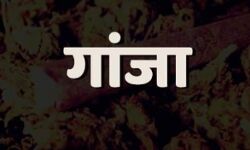 दरगाह के पास गांजा बेचने की फिराक में था अपराधी