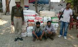 70 लाख के गांजा सहित STF ने 2 दबोचे