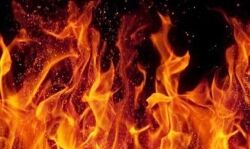 कलयुगी बेटे ने बूढ़ी मां को किया आग के हवाले कलयुगी बेटे ने बूढ़ी मां को किया आग के हवाले