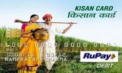 निर्देश- किसान क्रेडिट कार्ड से आच्छादित किये जाने हेतु कराये पंजीयन निर्देश- किसान क्रेडिट कार्ड से आच्छादित किये जाने हेतु कराये पंजीयन