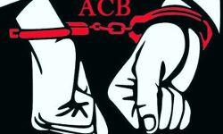 रिश्वत लेते रंगे हाथ पकड़ा गया सरपंच