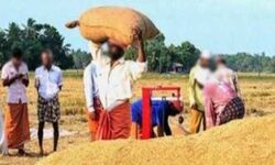 सरकार ने किसानों को कराया 113 लाख का भुगतान सरकार ने किसानों को कराया 113 लाख का भुगतान