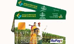 पशुपालकों को भी उपलब्ध कराई जा रही है किसान क्रेडिट कार्ड की सुविधा पशुपालकों को भी उपलब्ध कराई जा रही है किसान क्रेडिट कार्ड की सुविधा