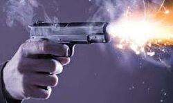 टीवी बंद नहीं करने पर वृद्ध पिता को मारी गोली