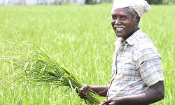 बटाईदारों को भी मिलेगा मुख्यमंत्री कृषक दुर्घटना कल्याण योजना का लाभ बटाईदारों को भी मिलेगा मुख्यमंत्री कृषक दुर्घटना कल्याण योजना का लाभ