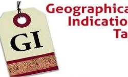GI उत्पाद के Export को बढ़ावा देगी सरकार- जाने GI में शामिल वस्तुएं
