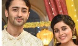शादी करने जा रहे हैं एक्टर शहीर शेख, देखी खूबसूरत जोड़ी की तस्वीरें