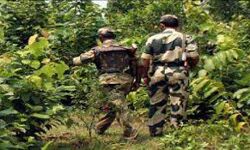 MP - नक्सली गैंग की महिला क्रिमिनल एनकाउंटर में ढ़ेर MP - नक्सली गैंग की महिला क्रिमिनल एनकाउंटर में ढ़ेर