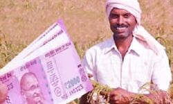 किसानों के खाते में अब आने वाला है पैसा- जाने कैसे