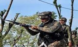 सेना ने की जवाबी कार्रवाई- 14 आतंकी ढेर