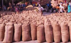 एक ही शहर के पांच धान क्रय केन्द्र ब्लैक लिस्ट एक ही शहर के पांच धान क्रय केन्द्र ब्लैक लिस्ट