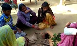 खेल-खेल में तालाब में डूबे 2 मासूम, परिवार में मचा कोहराम खेल-खेल में तालाब में डूबे 2 मासूम, परिवार में मचा कोहराम