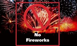 आतिशबाजी बढ़ा सकती है कोरोना संक्रमण- करें परहेज