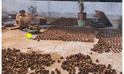 गोबर के 1 लाख दियों से जगमग होगा गोमती घाट