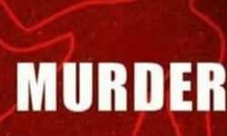 पत्नी के सिर पर किया शीलापट्ट से प्रहार पत्नी के सिर पर किया शीलापट्ट से प्रहार