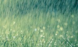 उत्तर प्रदेश के कई जिलों में बारिश,ओलावृष्टि उत्तर प्रदेश के कई जिलों में बारिश,ओलावृष्टि